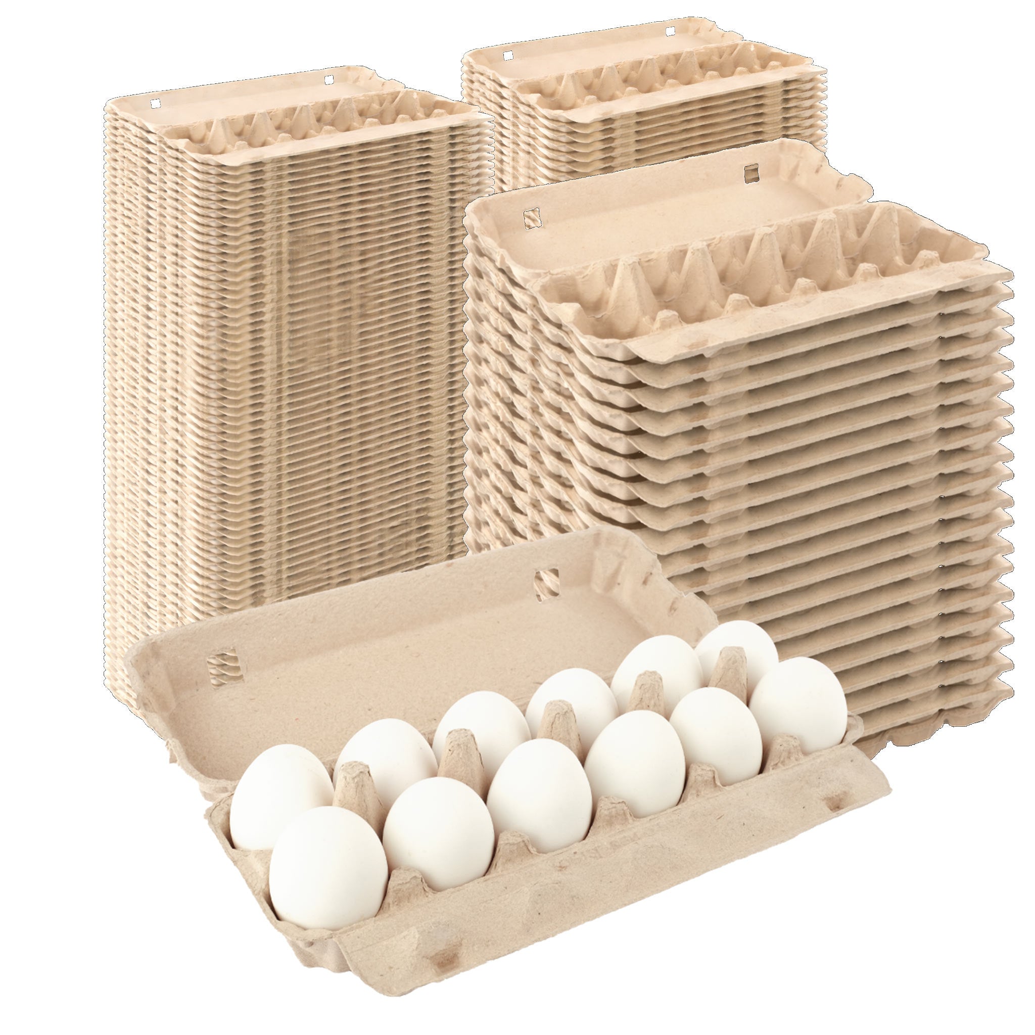 12-Egg Carton - Natural Pulp Flat Top | Hatching Time