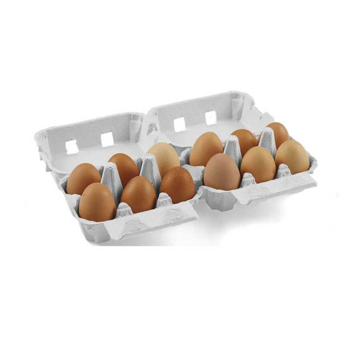 Hatching Time Cimuka. 12 chicken egg carton can be seen with lid open and 12 brown chicken eggs inside.