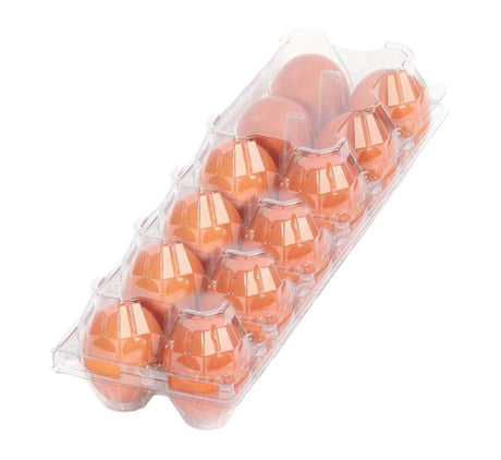 Hatching Time 12 brown chicken eggs can be seen inside clear plastic egg carton with lid closed.