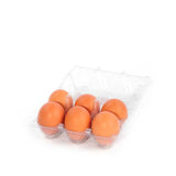 6-Egg Carton - Clear Plastic