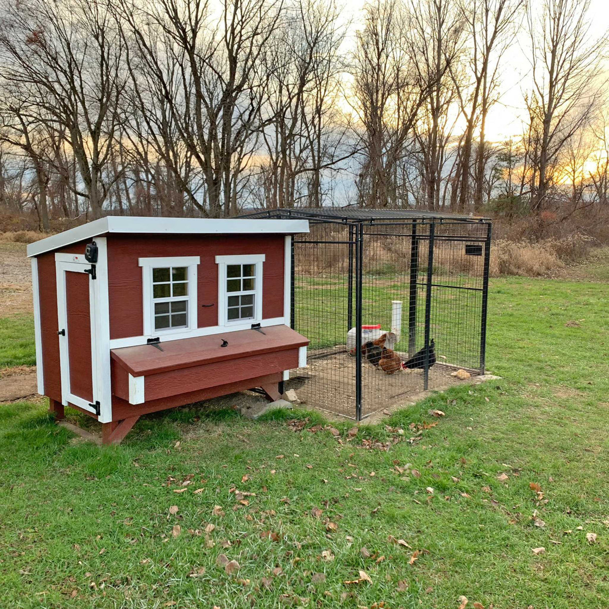 Hatching Time OverEZ Large chicken coop can be seen in grass with connected large chicken run.