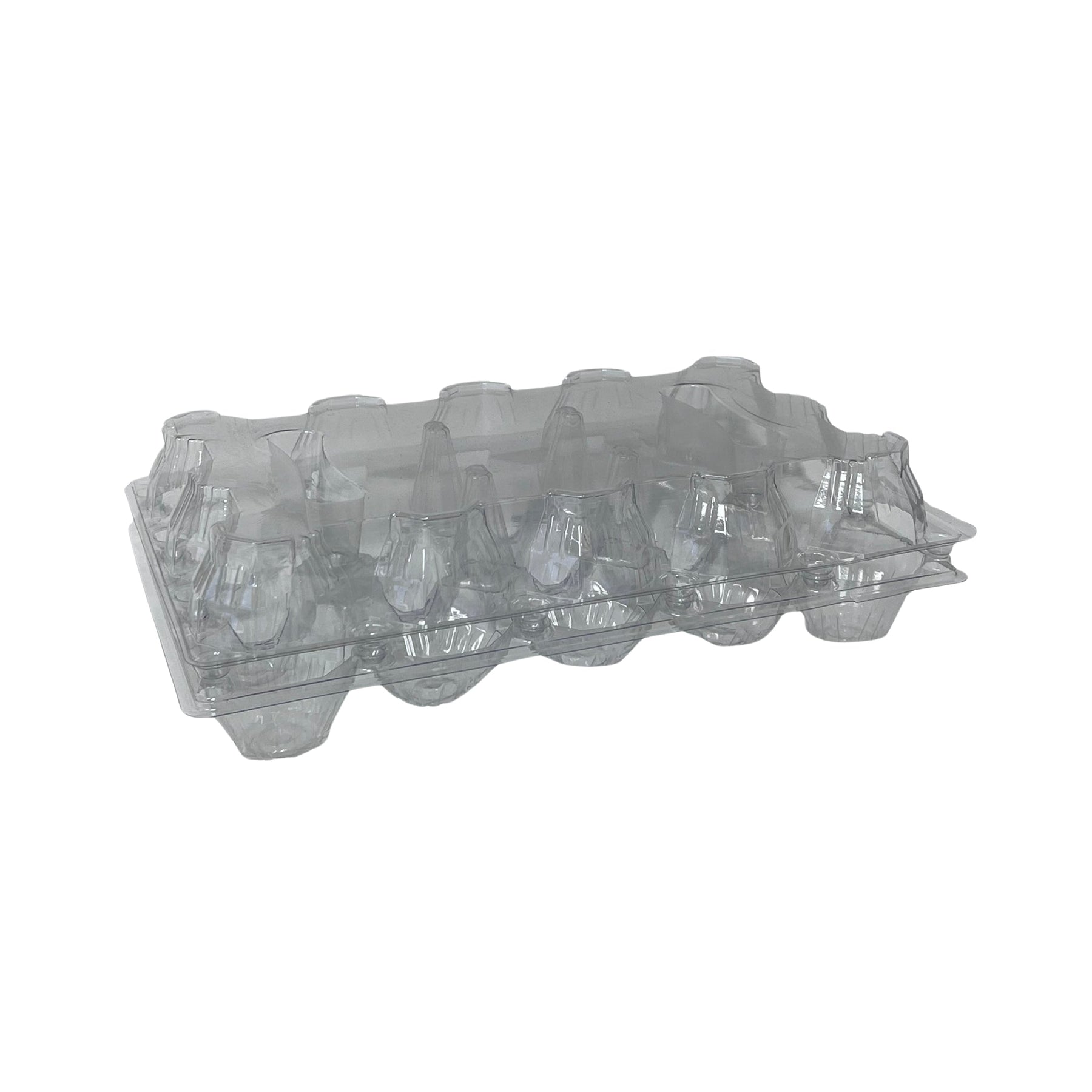Chicken Egg Cartons (10 Eggs) for Poultry Keepers | Hatching Time