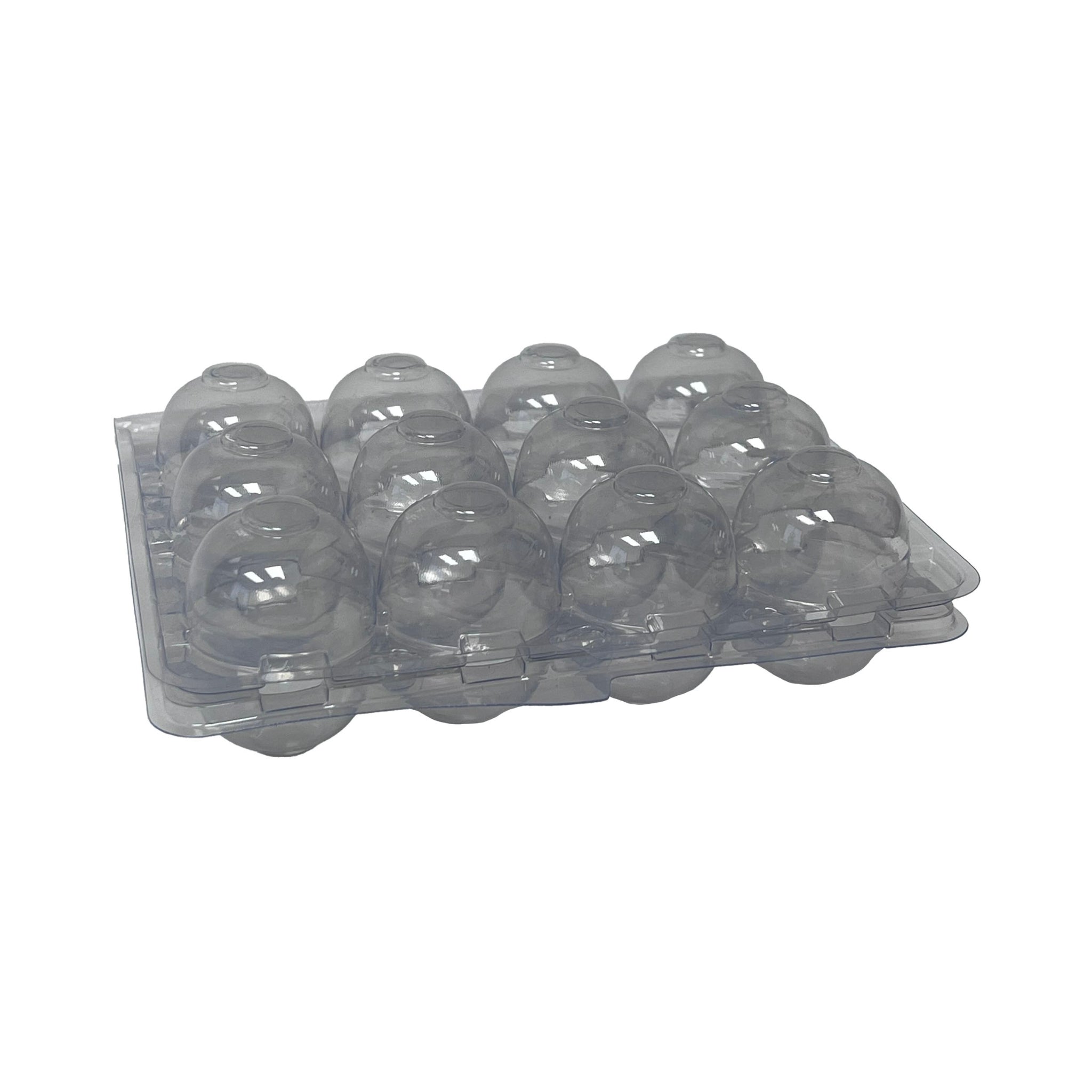 Hatching Time Quail Egg 12 count carton. Closed front view of Egg carton own with the lid open showinis shg 12 spaces for quail eggs.