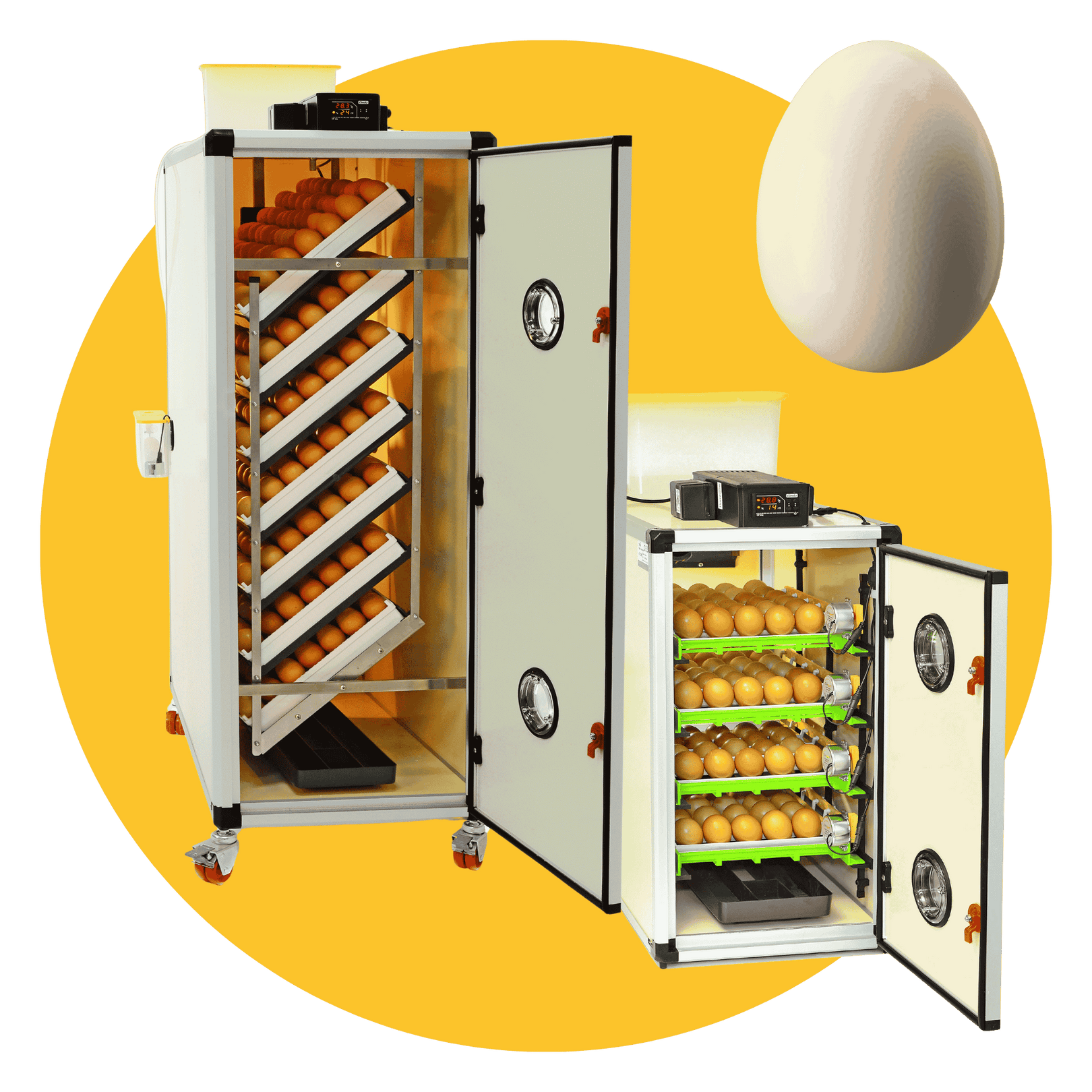 Quail Supplies – Cages, Feeders, Brooders & Incubators | Hatching Time