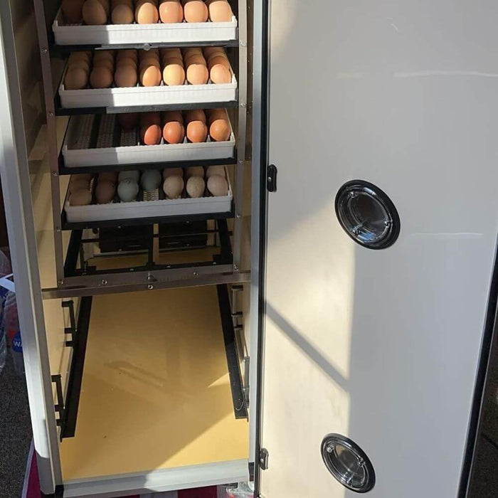 Hatching Time Cimuka. Hatching baskets can be seen inside HB incubator racks filled with various colored eggs.