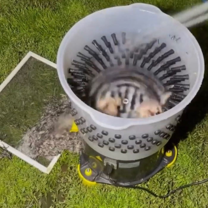 Feather Plucker in use with water being sprayed into it.