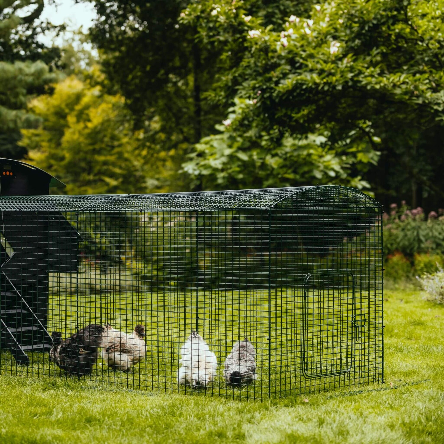 Hatching Time Nestera. Penthouse Coop bundle can be seen with 4 chickens in chicken run.