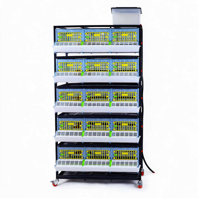 Cimuka 5-layer H9.5-inch poultry grow-out pen with five stacked PP plastic cage compartments, front feeder grilles, top water tank, removable waste trays, and caster wheels.