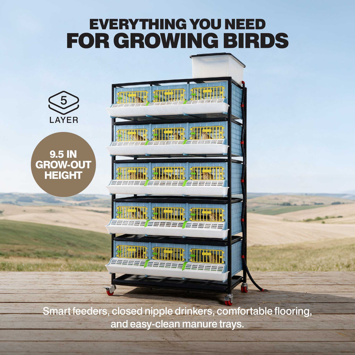 Cimuka 5-layer poultry grow-out pen infographic showing stacked enclosures with integrated feeding, watering, and waste management for growing quail and game birds.