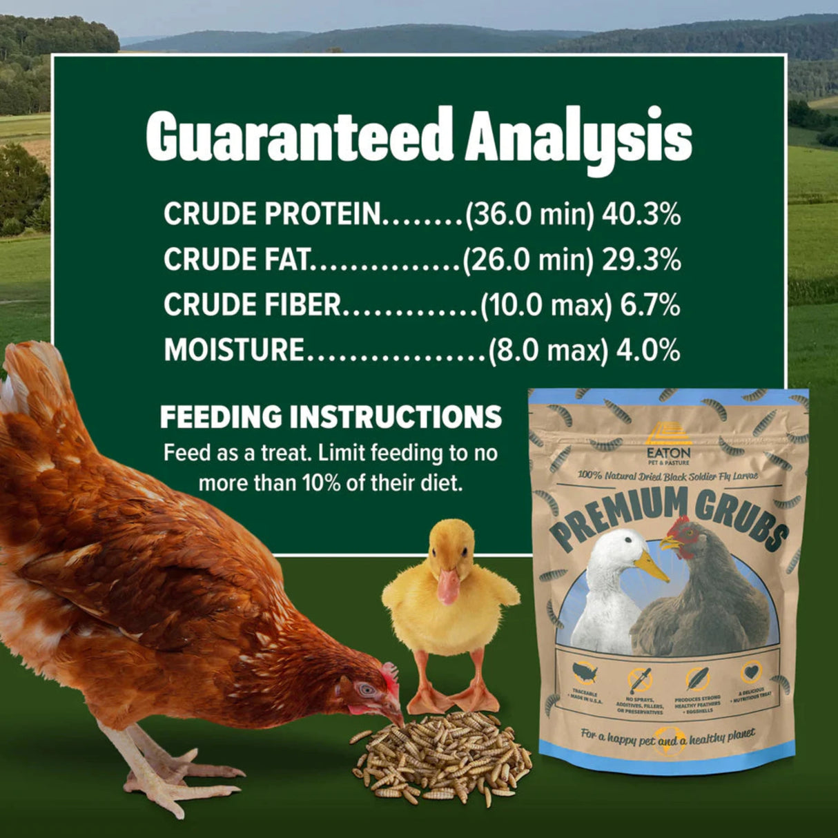 Hatching Time Eaton. Infographic shows a chicken and duckling eating black soldier fly larvae Premium Grubs. Above a nutritional chart can be seen.