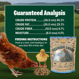 Hatching Time Eaton. Infographic shows a chicken and duckling eating black soldier fly larvae Premium Grubs. Above a nutritional chart can be seen.