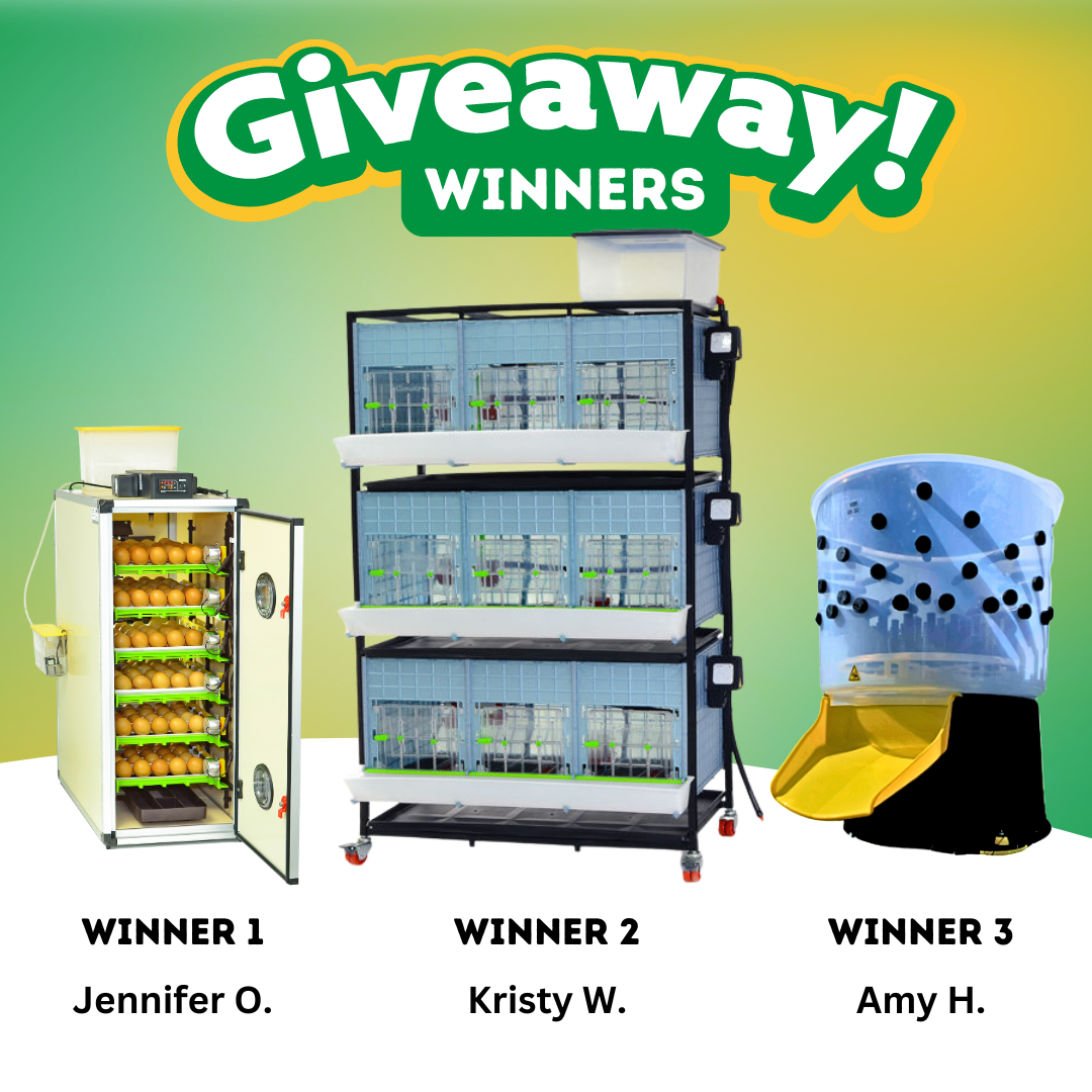 Image showing winners for the summer giveaways. Jennifer 0, Kristy W, Amy H.