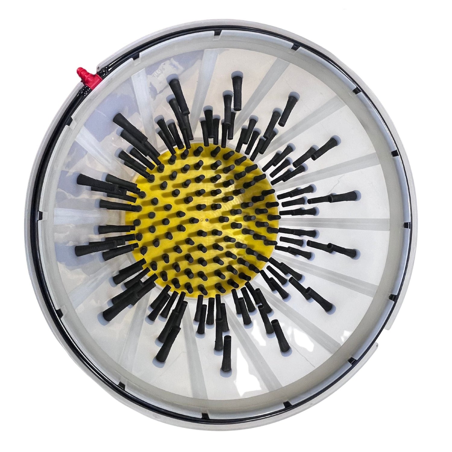 Goose / Duck Feather Plucker - X-Large (4-6 Ducks)
 Above view of tub shows plucker fingers inside of feather plucker drum. 