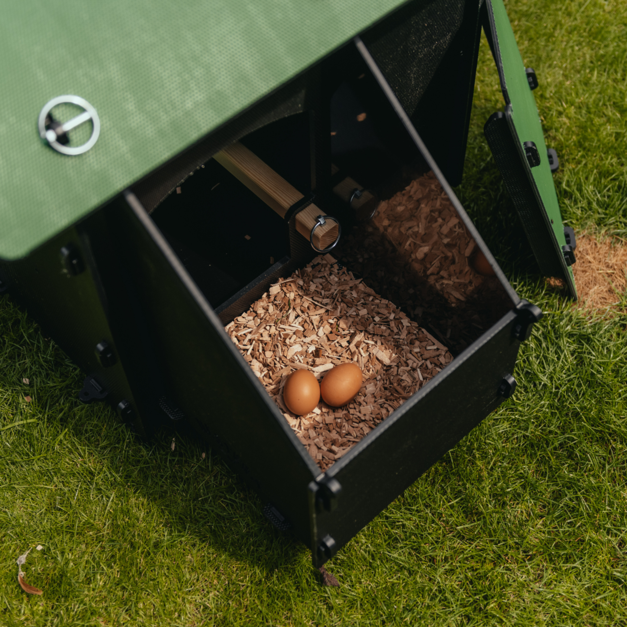 Hatching Time Nestera. Chicken coop nesting box interior shown with roof off. 2 eggs are in the nesting material. Roost can be seen in image.