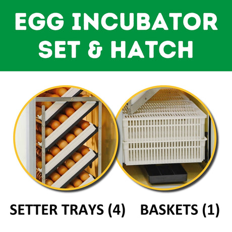 HB175 C - Egg Incubator - Setter & Hatcher: Image shows that incubator is setter and hatcher combo. Includes 4 setter trays and 1 hatching basket, both seen in image.