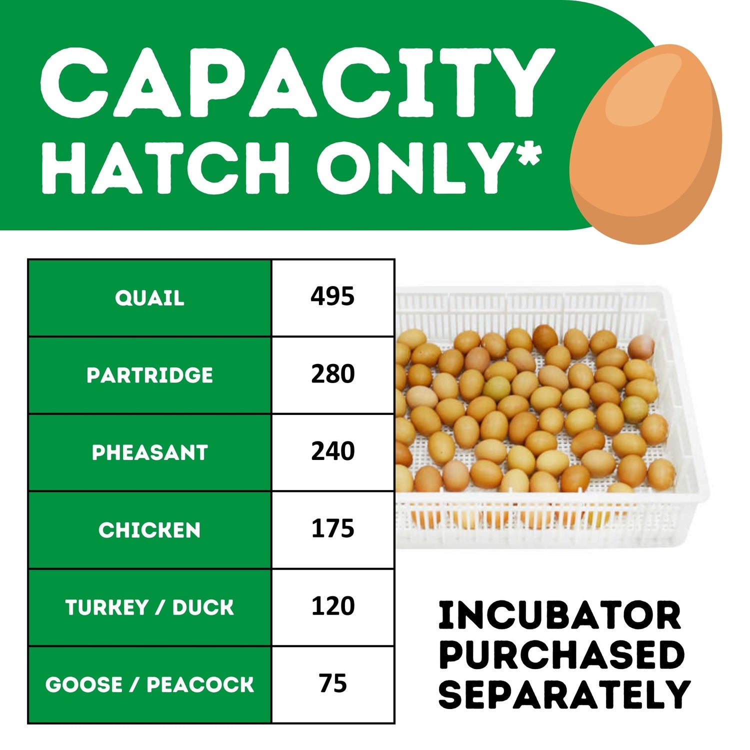 Image shows the amounts of each poultry egg that can fit into the HB175 H - Egg Incubator - Hatcher with correct tray configuration.
