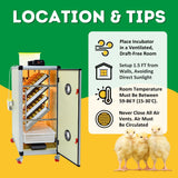 Hatching Time Cimuka. Image shows tips for where to keep incubator. Draft-free room at least 1.5 ft away from walls with a room temp between 59 and 86 degrees Fahrenheit. Image shows HB350 C - Egg Incubator - Setter & Hatcher
and chicks.