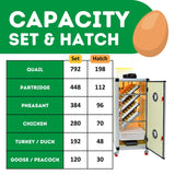 Hatching Time Cimuka. Image shows the amounts of each poultry egg that can fit into the HB350 C - Egg Incubator - Setter & Hatcher
with correct tray configuration.