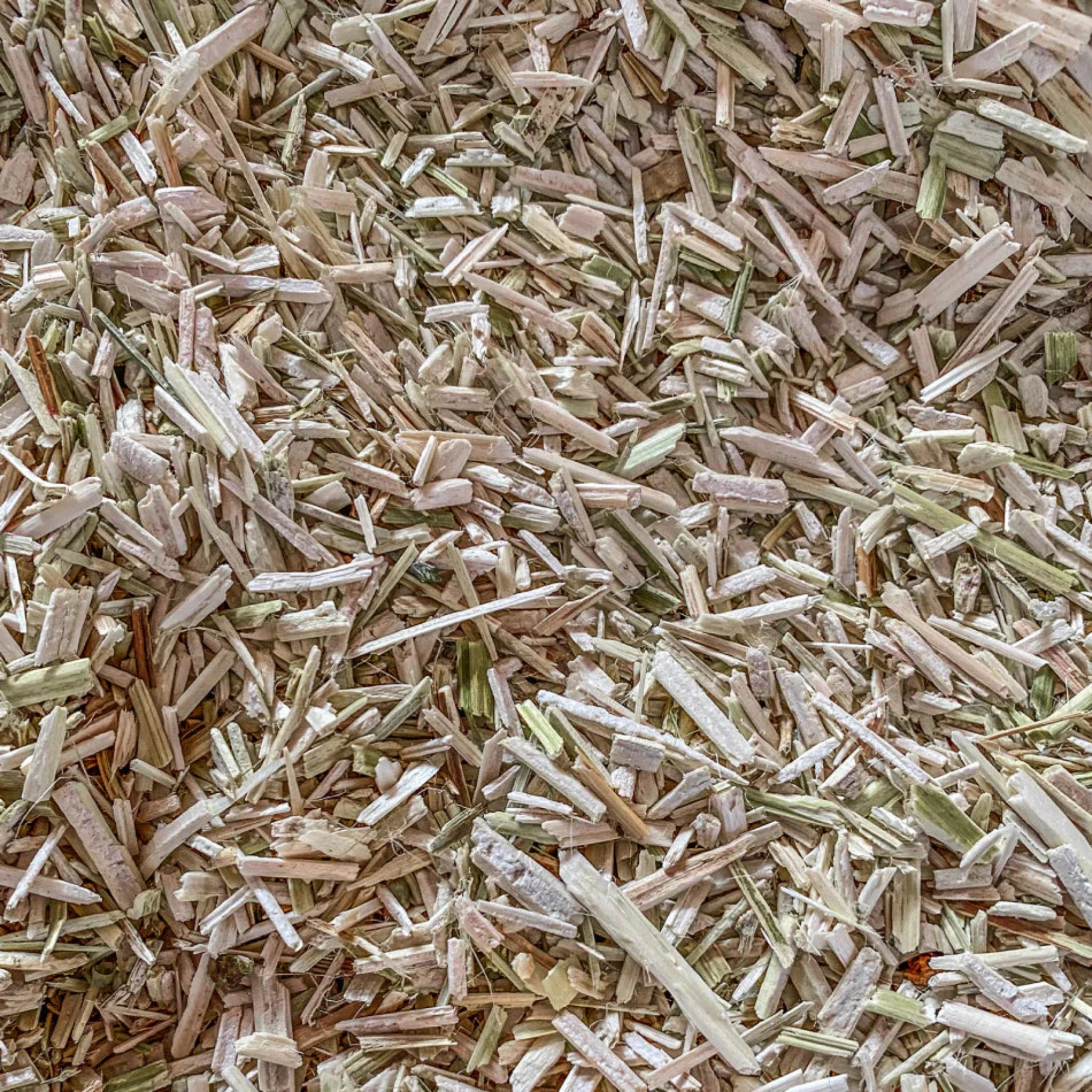 Hatching Time Eaton. Closeup view of hemp bedding.