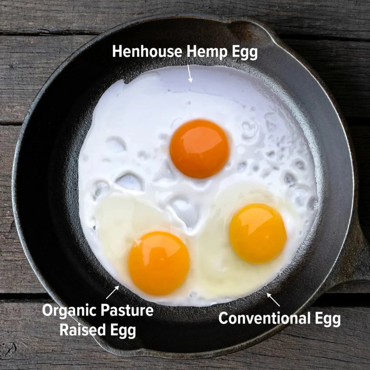 Hatching Time Henhouse Hemp. Image shows 3 eggs in a frying pan. An orange yolk is highlighted as Henhouse Hemp egg, while other 2 are yellow organic and conventional.