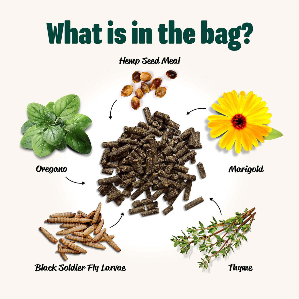 Henhouse Hemp Plus ingredients – hemp seed meal, black soldier fly larvae, marigold, oregano, and thyme for poultry nutrition.