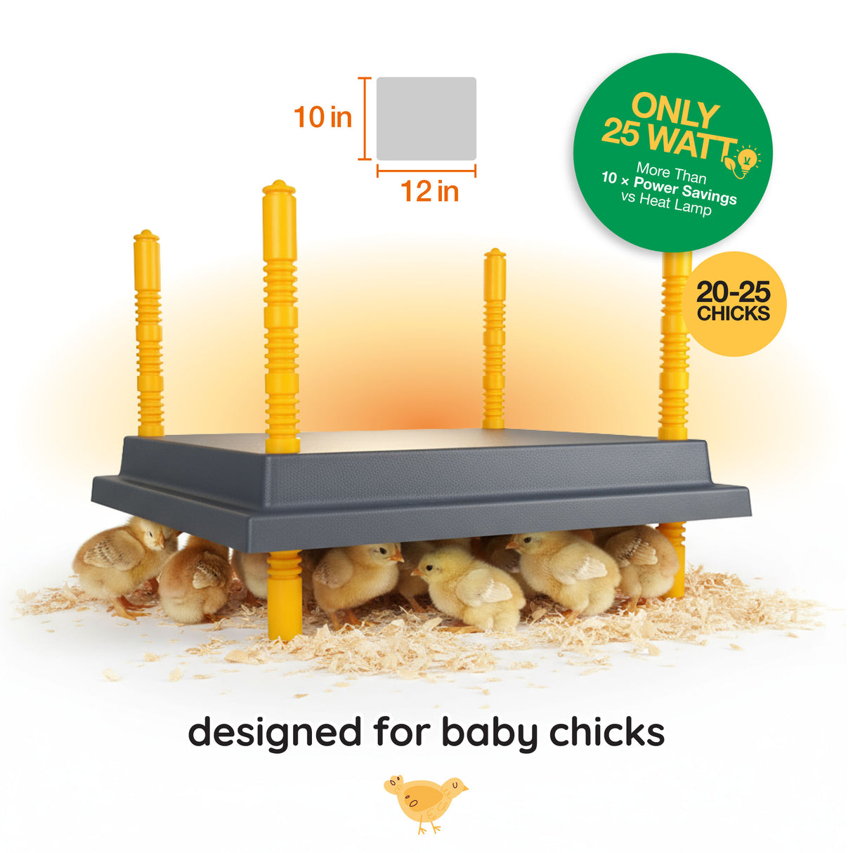 Chicken brooder with chicks, dimensions, and wattage information on a gradient background