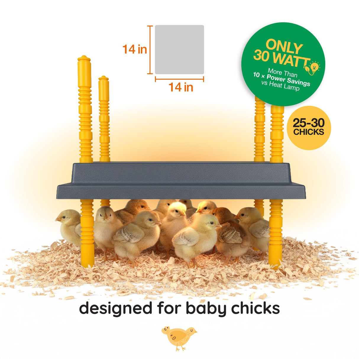 Warmzy Heating Plate (14" x 14") 25-30 chicks