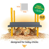 Warmzy Heating Plate (14" x 14") 25-30 chicks