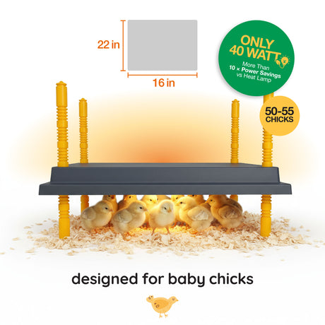 Heating pad for baby chicks with dimensions and wattage information on a white background