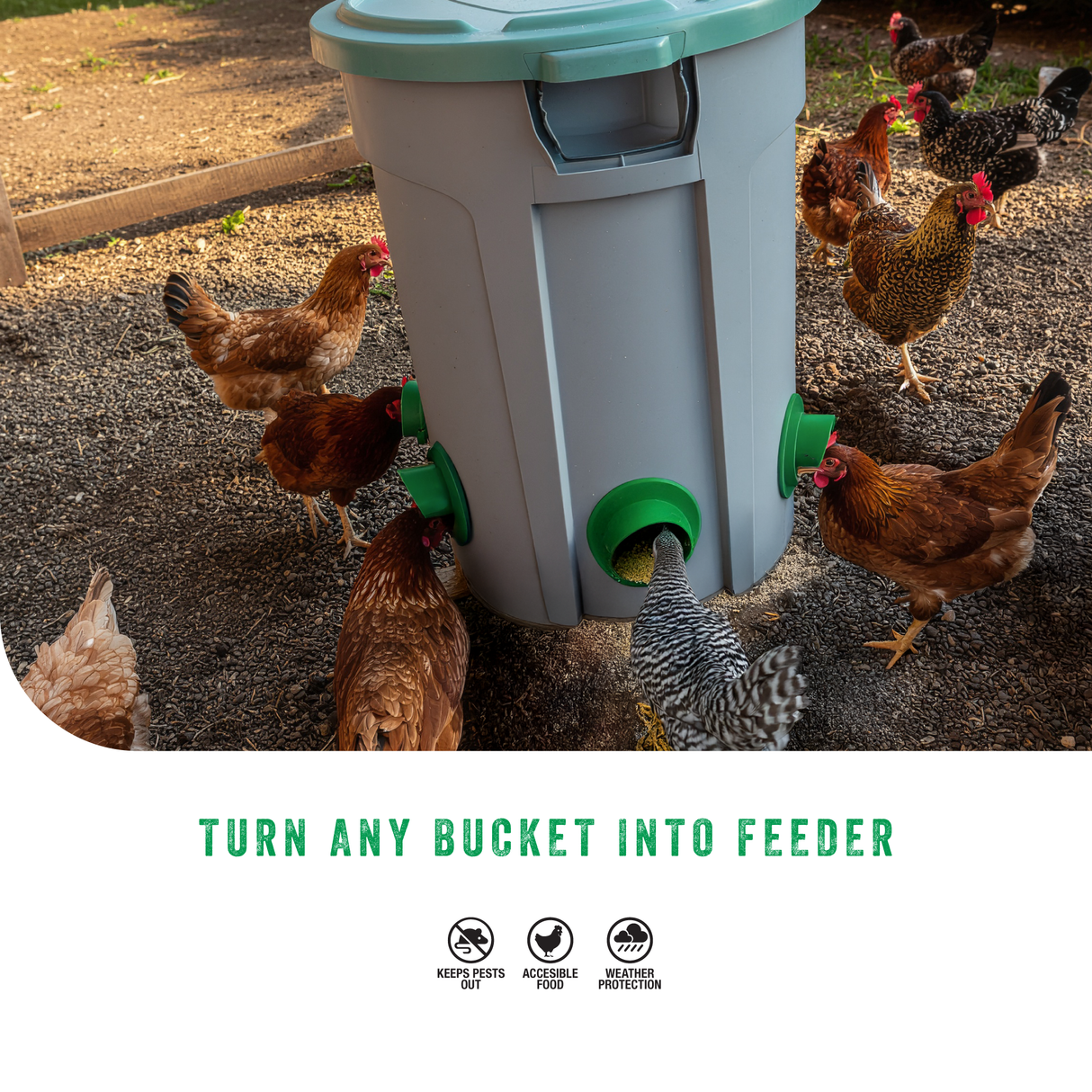DIY Poultry Feeder Set (85 mm)