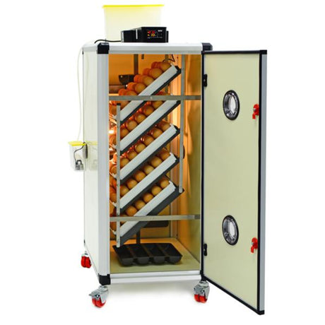 Hatching Time Cimuka HB175 Incubator shown with door open and inside full of setter trays with brown eggs. This image is for the scratch and dent item.