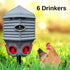 Hatching Time. Image shows coopworx 8 gallon water drinker system in grass. A chicken can be seen next to the drinker. Text shows that system has 6 drinker spouts.