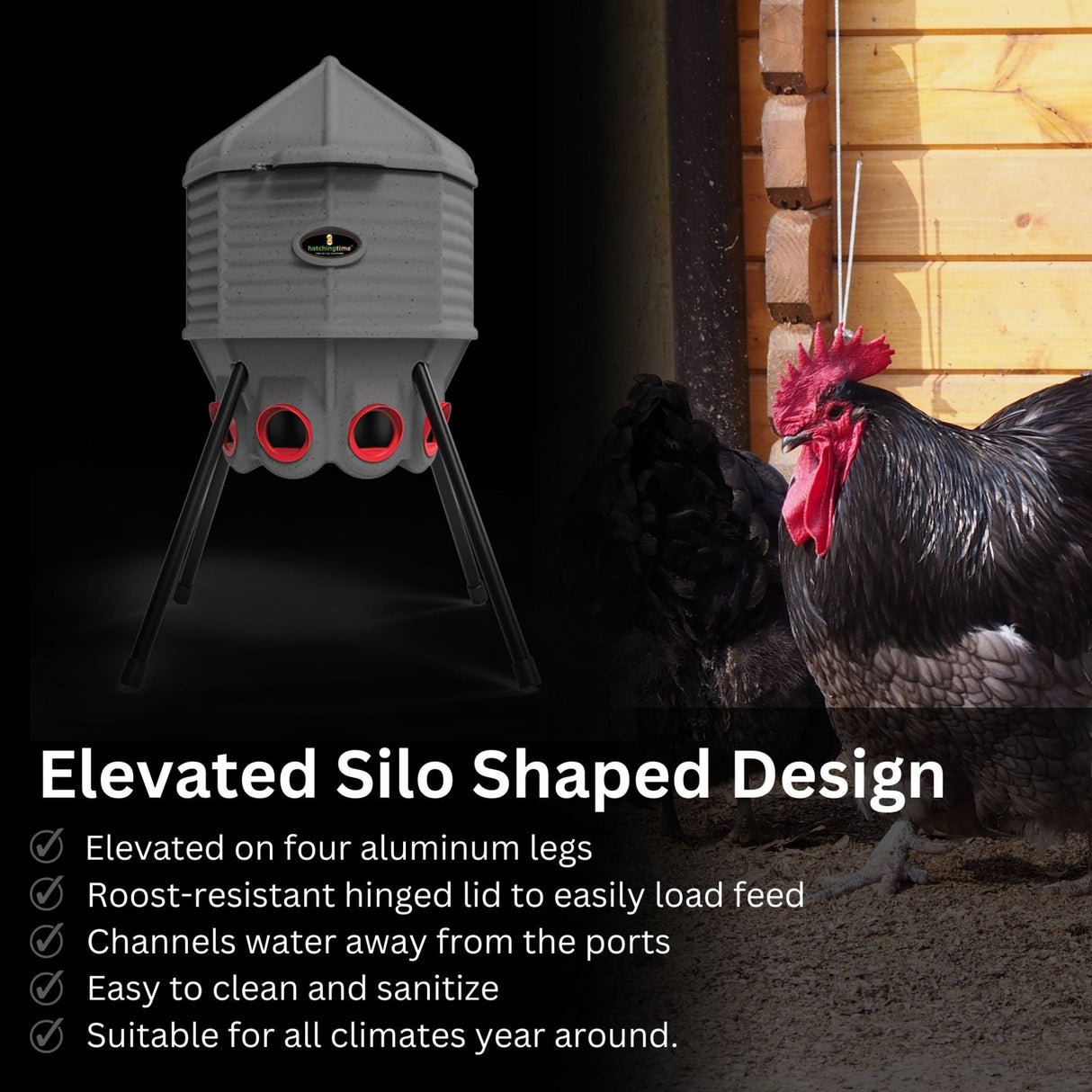 Hatching Time Coopworx 80 lb feeder silo can be seen in image specifications can be seen below it. Chickens are seen in the background.