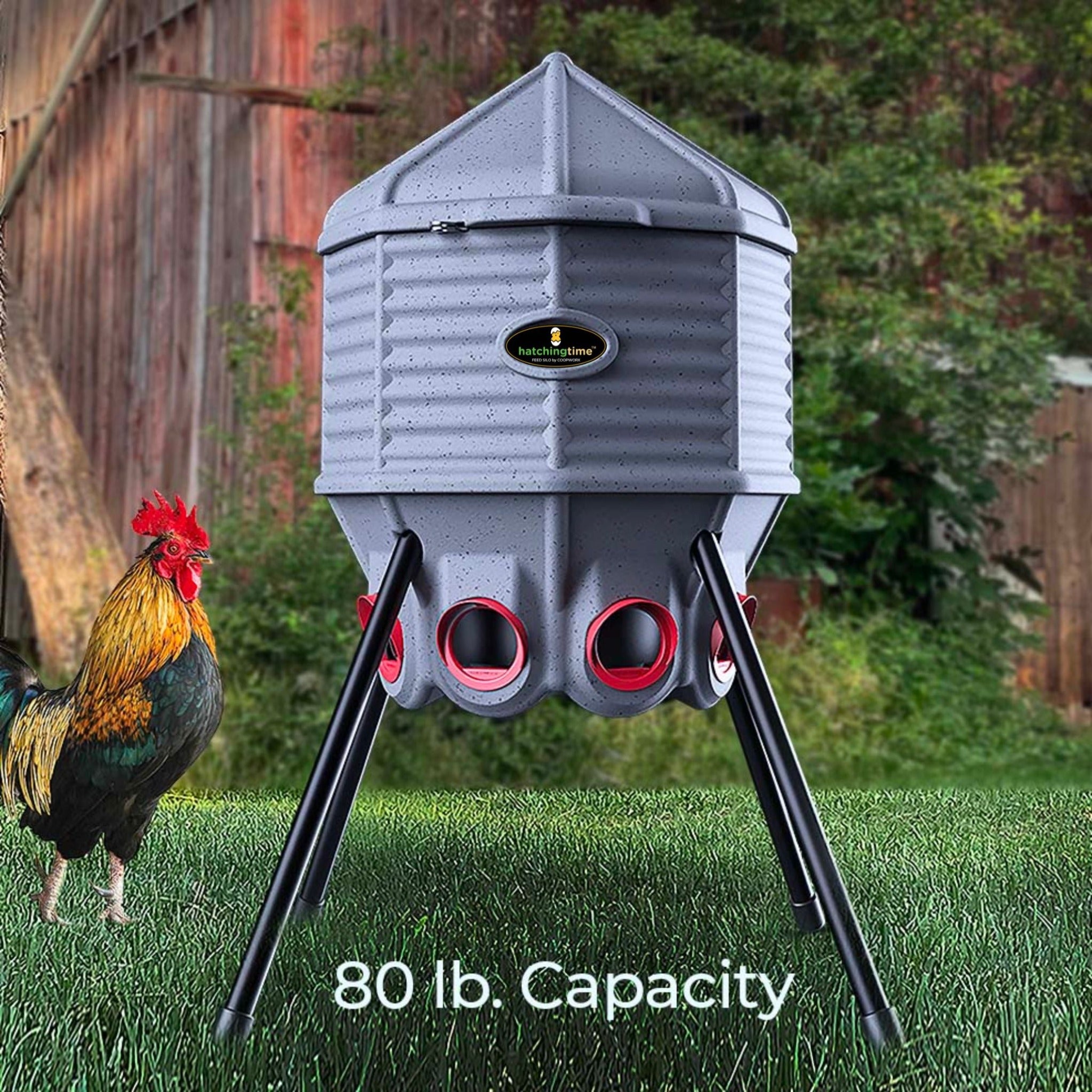 Hatching Time Feed Silo 80 Lb Feeder CoopWorx CWFS-80-A4 Large Capacity shown. There is a rooster next to the feeder. Text reads "80lb capacity"