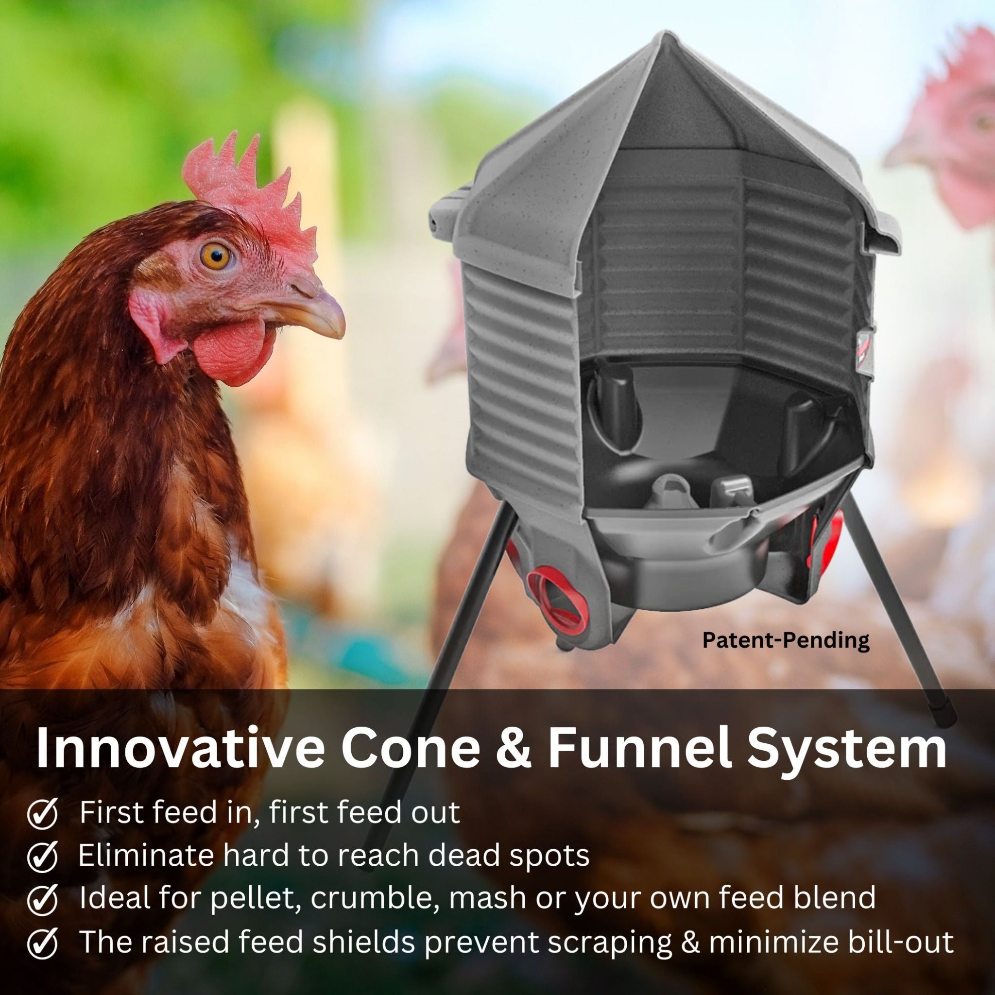 Hatching Time Feed Silo 80 Lb Feeder CoopWorx CWFS-80-A4 Innovative Design showcased. feed-cycling featured. showing perfect feeder for all types of dry food. raised feed shield prevents bill out and scraping.
