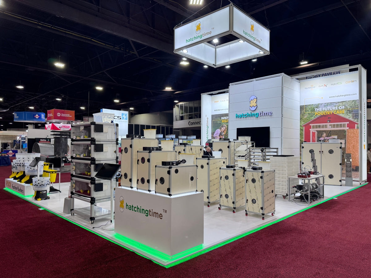 Wholesale (Best Poulty Equipment Globally) | Hatching Time