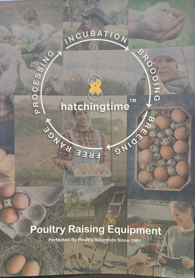 Collage of images related to poultry raising with 'hatchingtime' branding.
