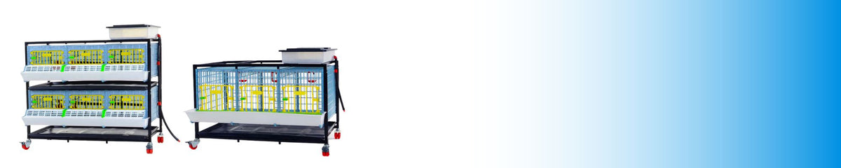 Product Support (Assembly Videos, User Manuals) | Hatching Time