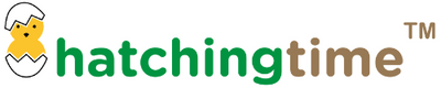 Hatching Time logo with white background.