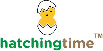 Hatching Time Logo with no background.