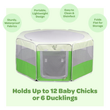 Hatching Time Hen Pen pop up brooder features are shown.