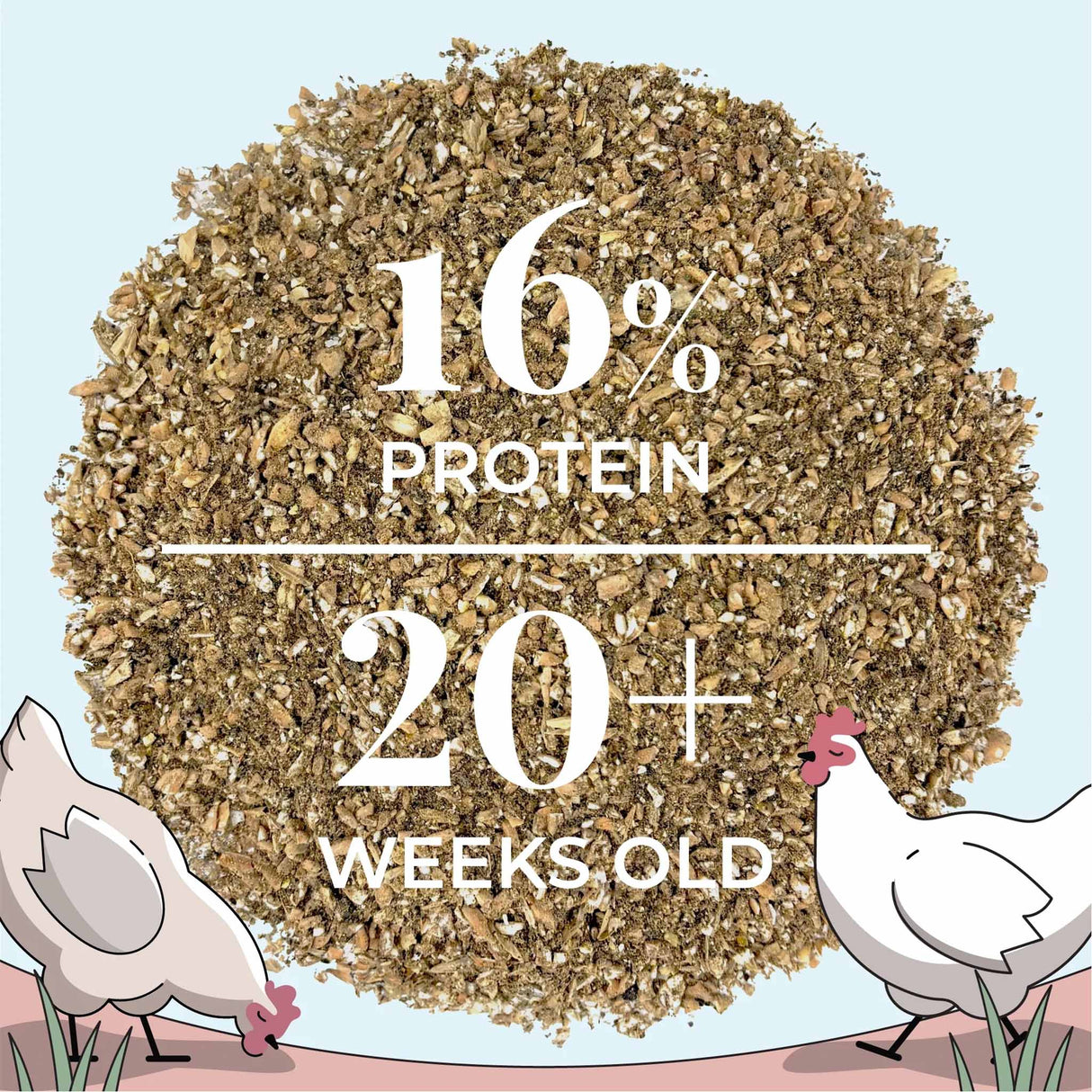 Close-up of Mile Four Organic Mash Layer Chicken Feed with 16% protein formulated for laying hens 20 weeks and older.