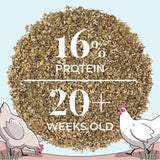 Close-up of Mile Four Organic Mash Layer Chicken Feed with 16% protein formulated for laying hens 20 weeks and older.