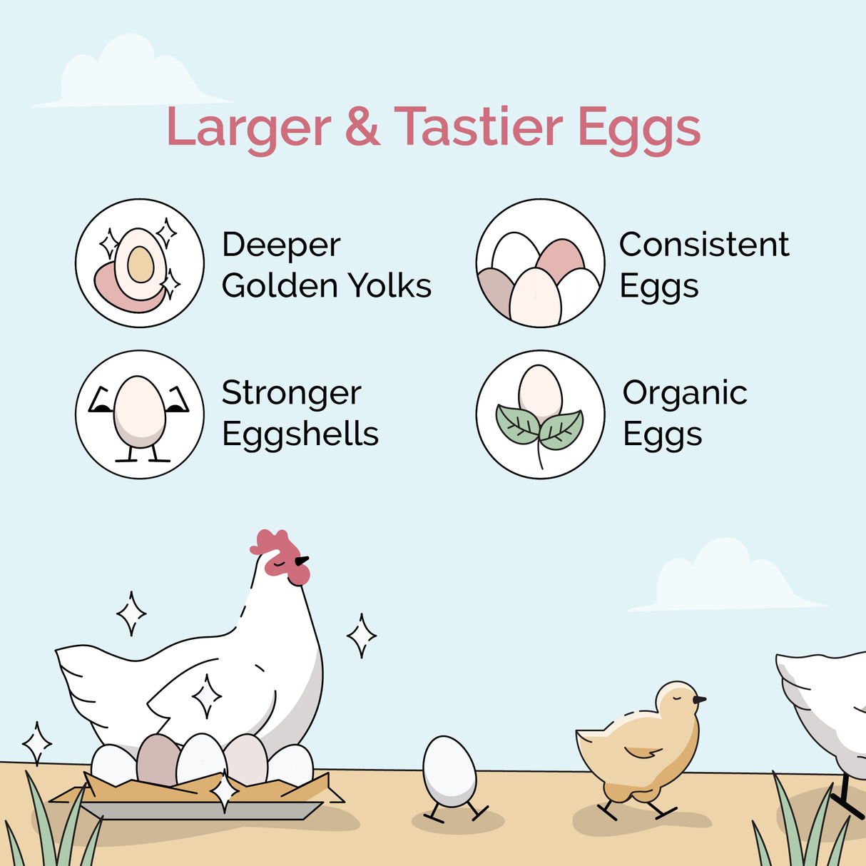 Mile Four (Starter Bundle) Organic Feed - 8 Week Supply for 6 Chicks
