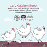 Mile Four Oyster Shell | Calcium Boost