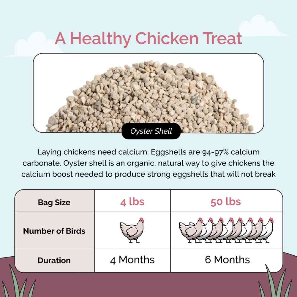Mile Four Oyster Shell | Calcium Boost