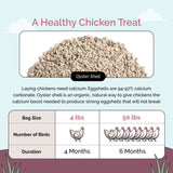 Mile Four Oyster Shell | Calcium Boost