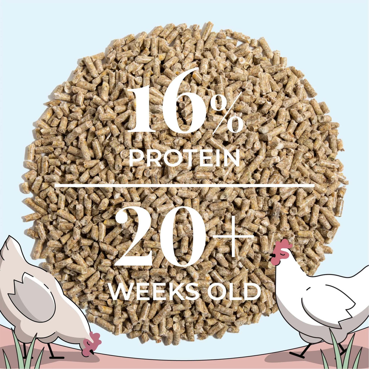 Close-up of Mile Four Organic Pellet Layer Chicken Feed with 16% protein formulated for laying hens 20 weeks and older.