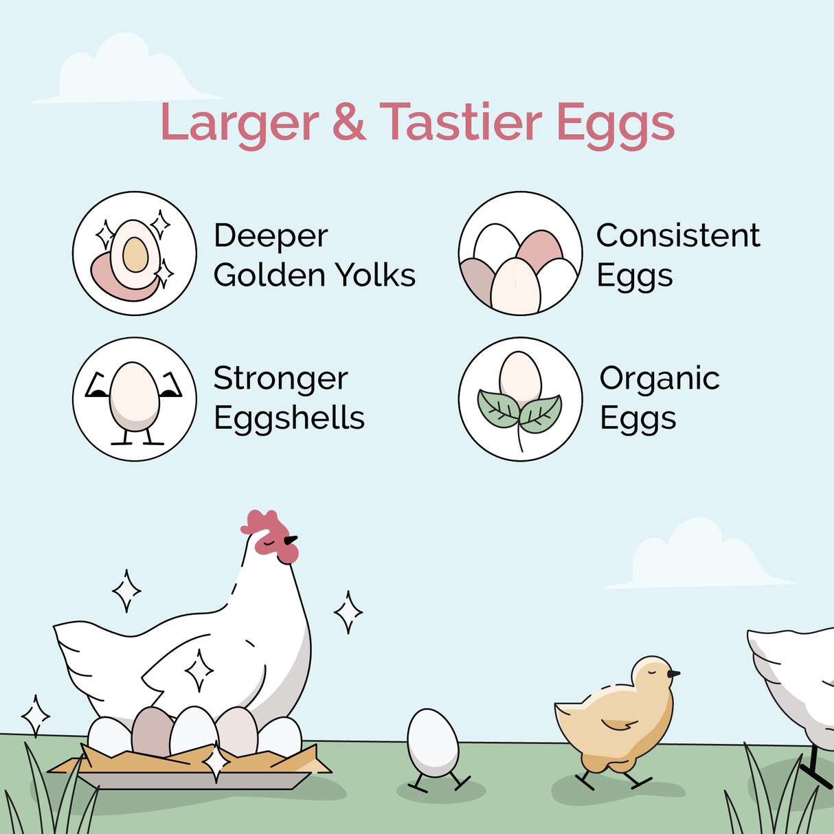 Mile Four (Grower Bundle) Organic Feed & Grit - 12 Week Supply for 6 Pullets