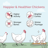 Mile Four (Grower Bundle) Organic Feed & Grit - 12 Week Supply for 6 Pullets